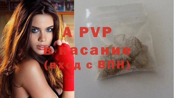 крисы Алзамай