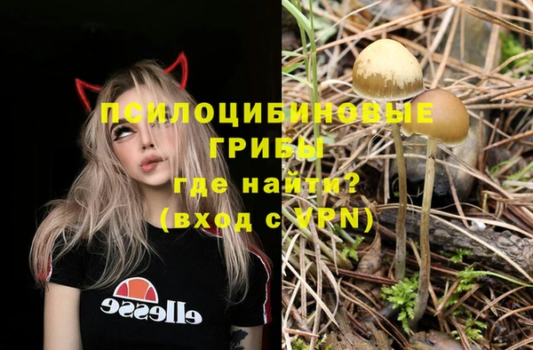 крисы Алзамай